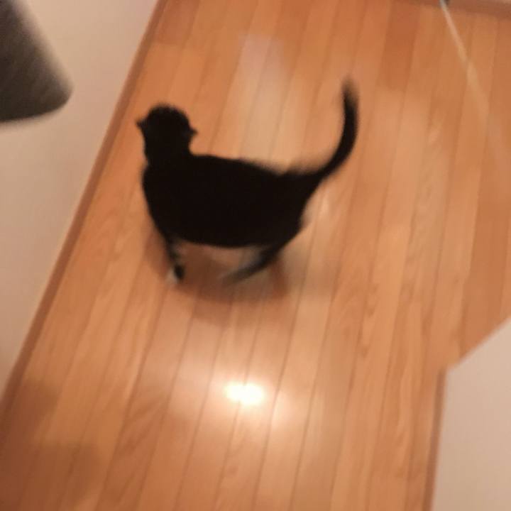 3a51eef3 a124 44c2 803f f4a4db4a564e 1766559160954