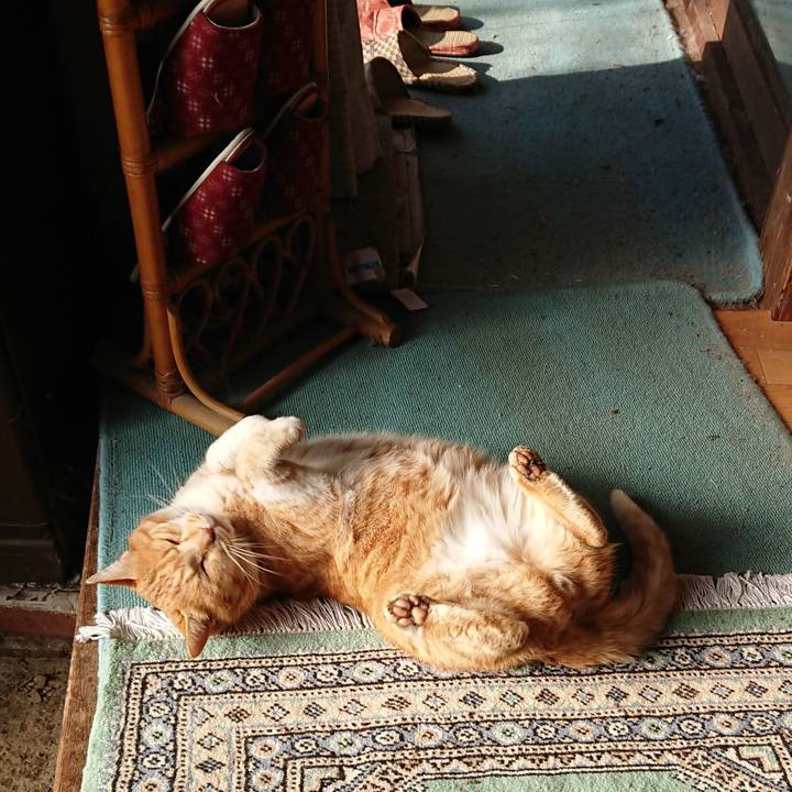 3a5209e1 2d13 43a7 9d62 b02c01b7753e 1577581685898