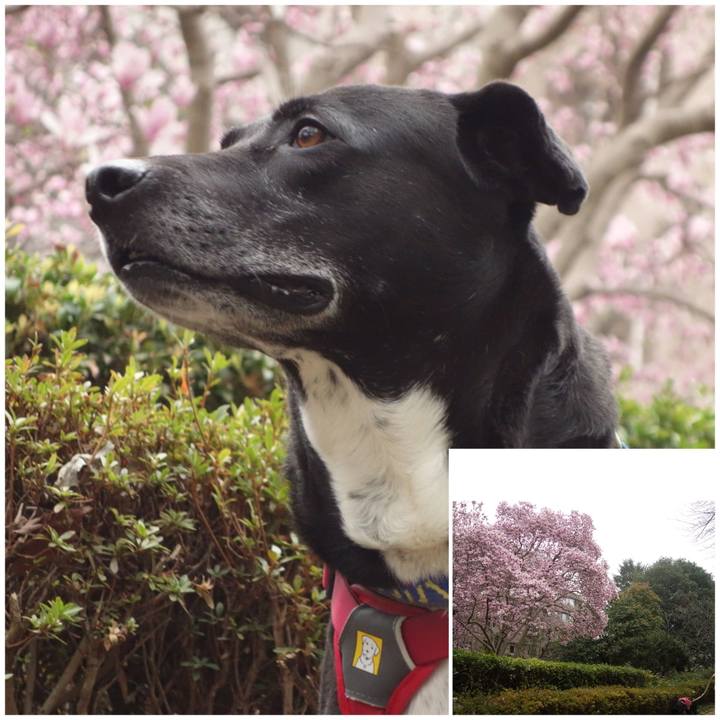 3a5238f3 7f25 4340 a82e e807da00cf47 1679532579659