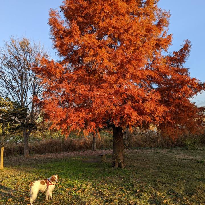 3a526b22 33a5 43dc bdf8 8ae1fd5d4641 1669460336753