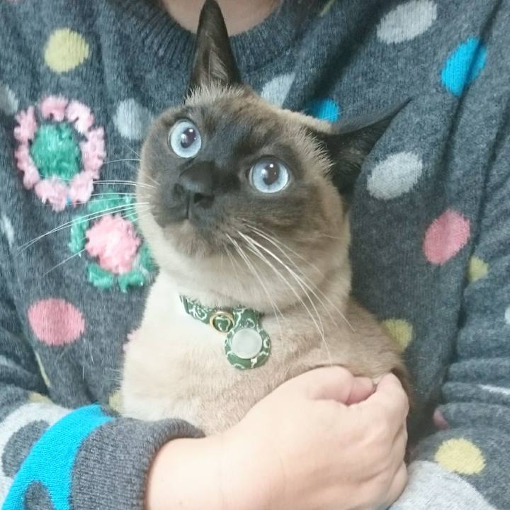 3a527021 392c 4316 9fb0 f09763350172 1550812134669