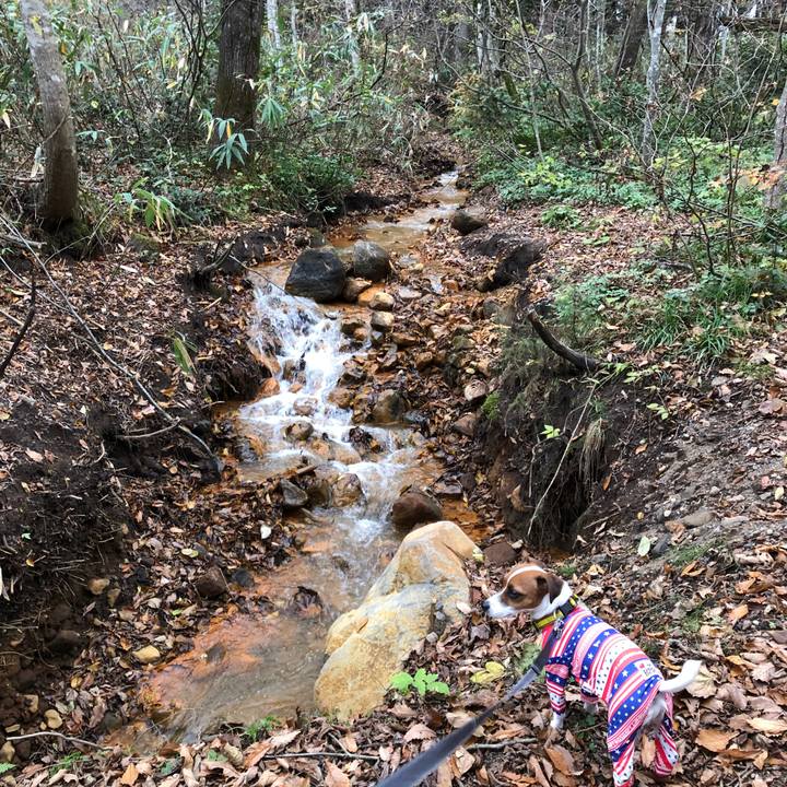 3a5274b2 9be6 41af 90c6 76dc45610d31 1542191567299