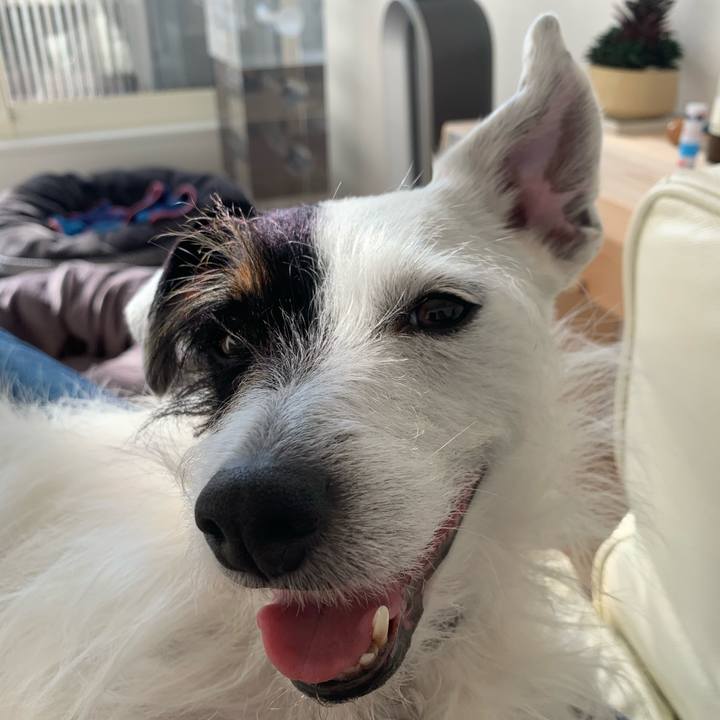 3a527d50 38ef 4c35 af1a fc97a90512b6 1612242852659