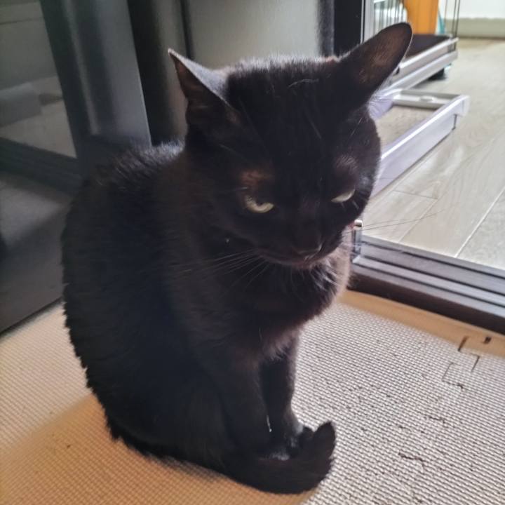 3a52bc0d 024a 433f bfaa 30e7b6239456 1652574540733