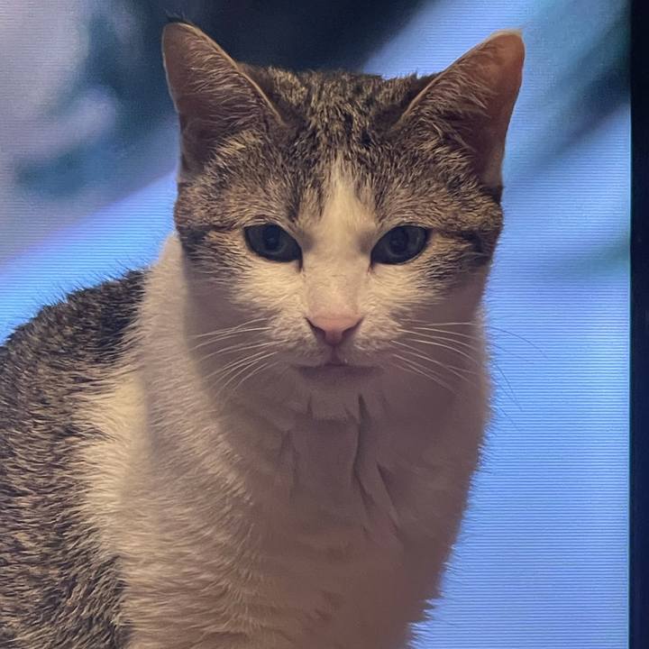 3a5303c9 10b9 4710 8da8 007c2160ecd2 1624881814087