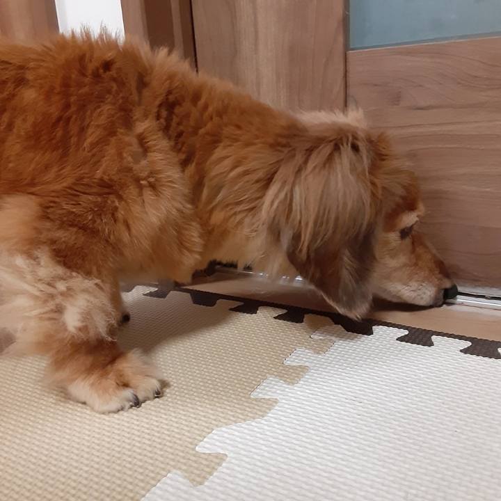 3a53114f c5a0 4ea3 b1d6 f769f6516559 1661774746208