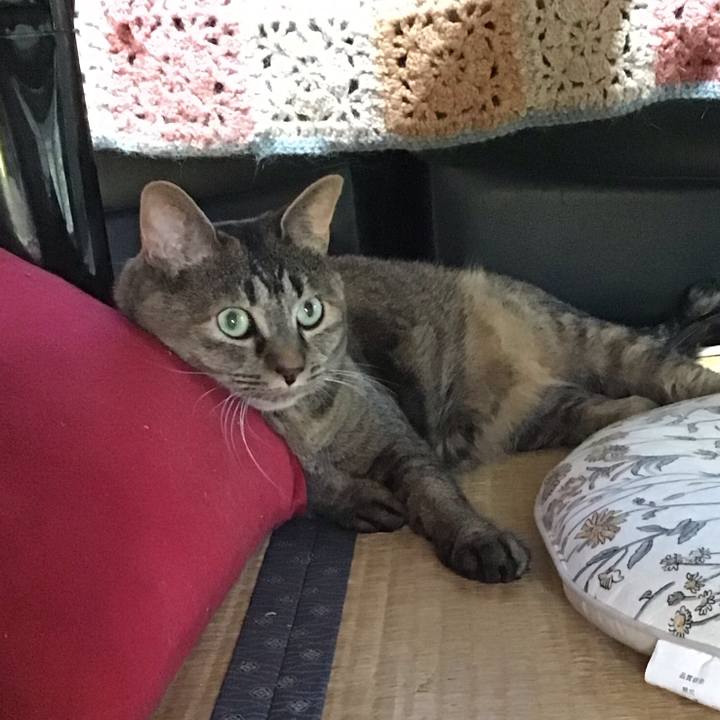 3a53368b 0497 4929 946c 2322bf8b03ae 1754470677565