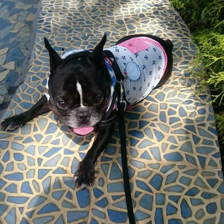 3a534562 bcc8 465a a5ae a74ac0d5e6f7 1524118594837