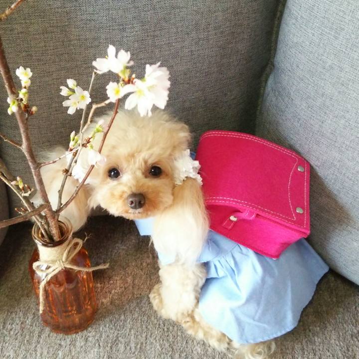 3a536955 b4b0 4fee 957e 66d8c690e6f9 1554281261736