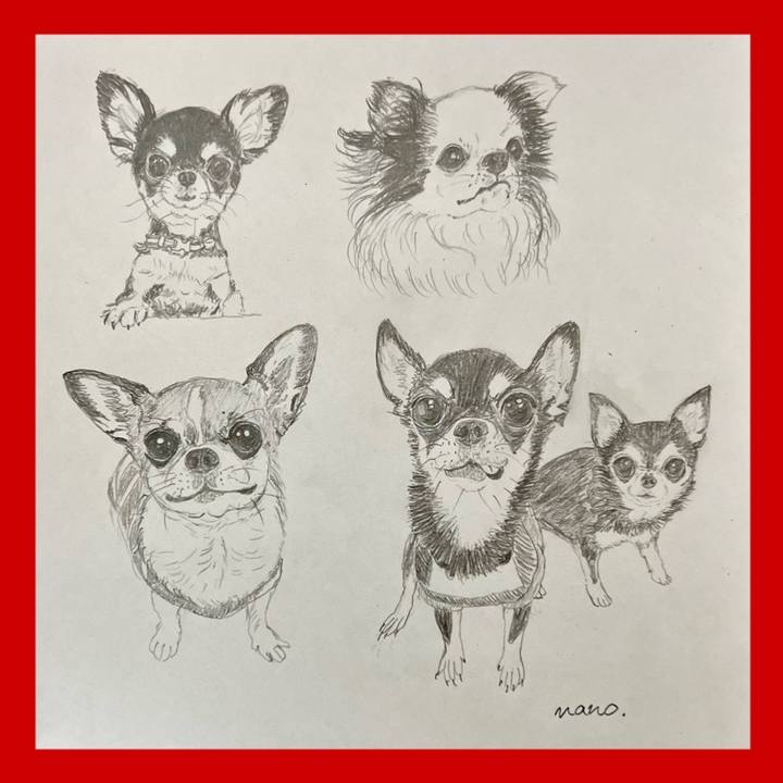 3a5404bf 10a6 4de7 bd67 2ccccf788689 1700483910331