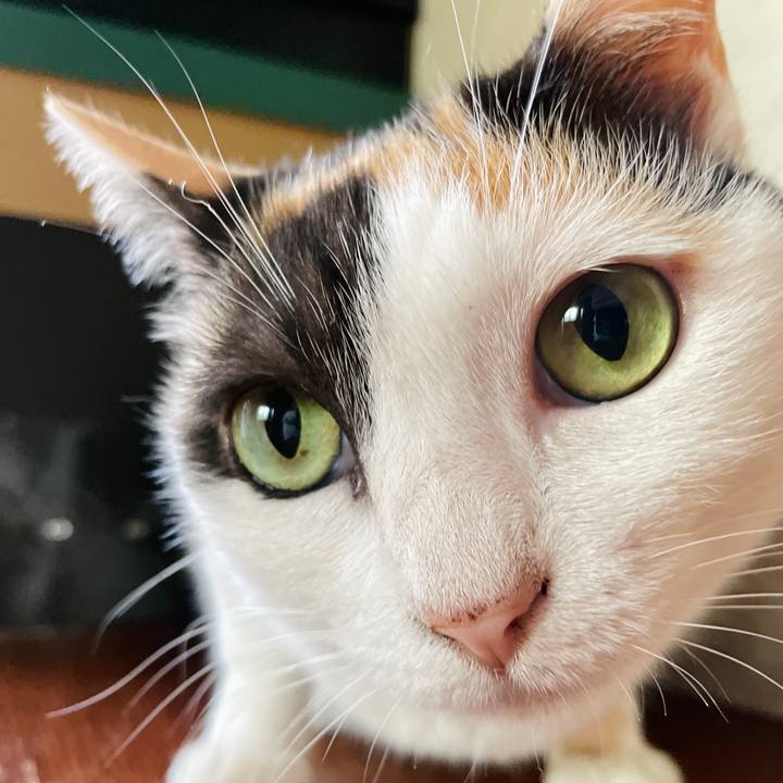 3a540e6b c0a7 415a ab14 49b4ca0ebc4e 1660357412588