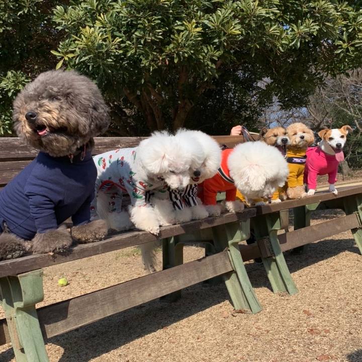 3a5426aa 123d 4b53 bb6b 03a53013cff2 1613901602325