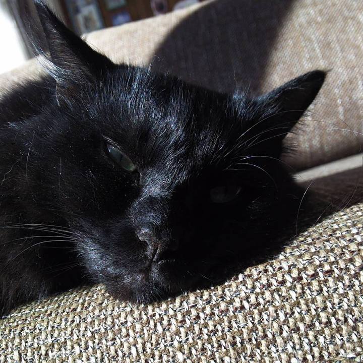 3a5429a2 7725 4b95 a843 7e5774bf4af0 1512871905900