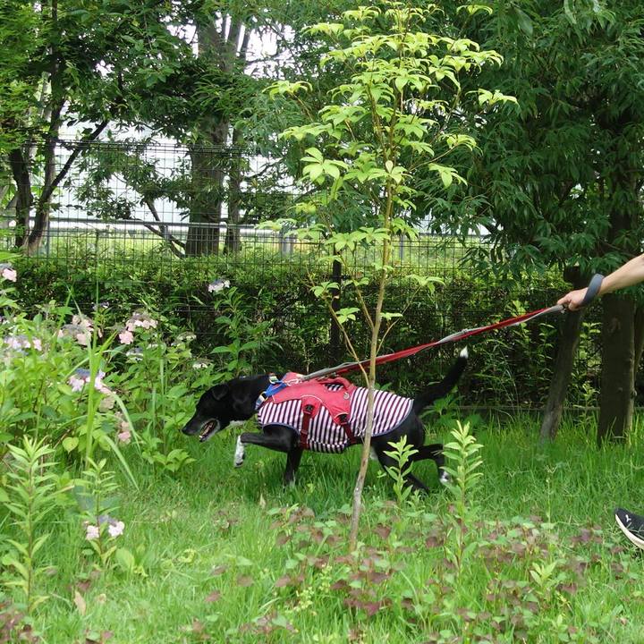 3a549e7a ba24 4d3c a730 c1192ce6332e 1687649800270