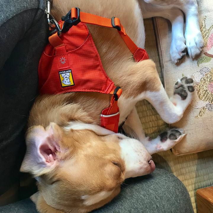 3a54a806 1616 4773 949e 08be37f90a4a 1564880680121