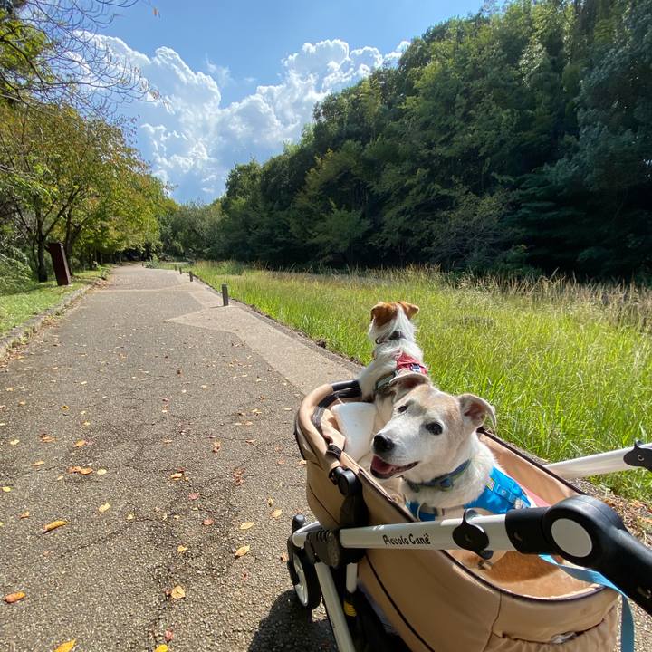 3a54ee16 b5c6 4298 9f2e 9f913b617ff1 1697338890646