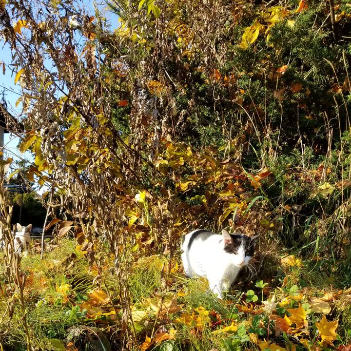 3a550382 f09b 4f57 966e df7ed7e83f1b 1571967155291