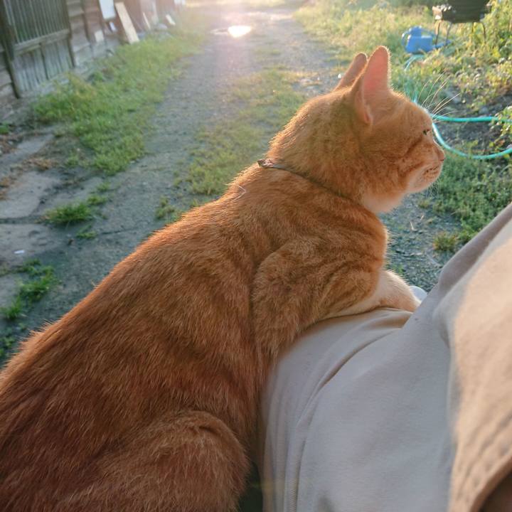 3a55138a 8b68 4ce8 814d b05eba65b32f 1567197693163