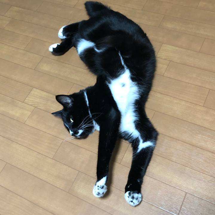 3a554fca 1900 4bb5 9a4d 3833748a7b78 1643601613428