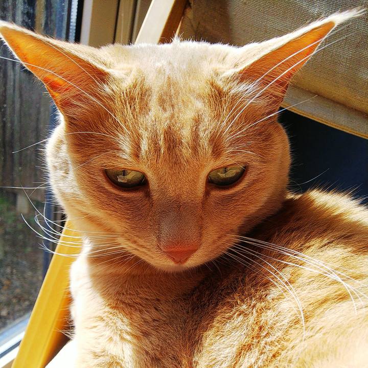 3a556726 fd23 466a b174 a23c7e688537 1620535344787