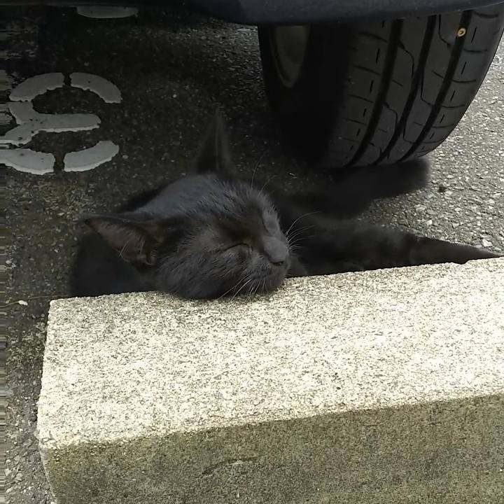 3a558967 002e 4214 b1a3 c27e6896aff4 1537760227818