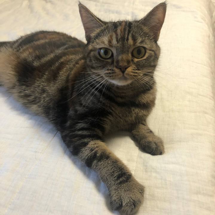 3a55915b 18d1 4e28 8cc8 3f2b0f072d7c 1634015587036