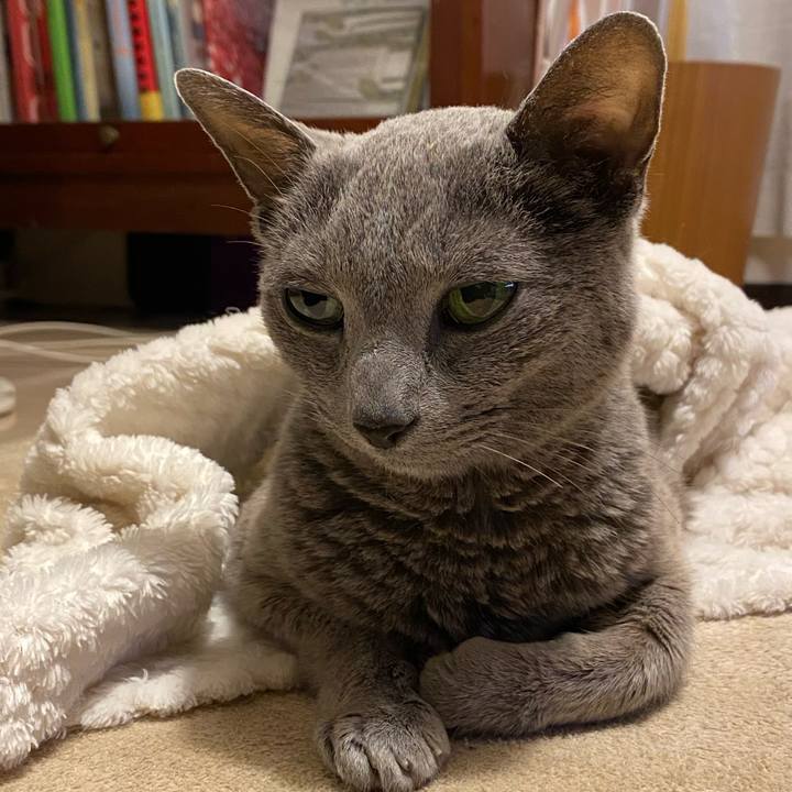 3a559edb 0f7a 40a5 9183 901d4aec362e 1645445446122