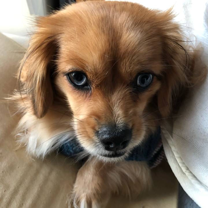 3a55c885 1382 40cd 84b9 3fcd5215a810 1549761635417