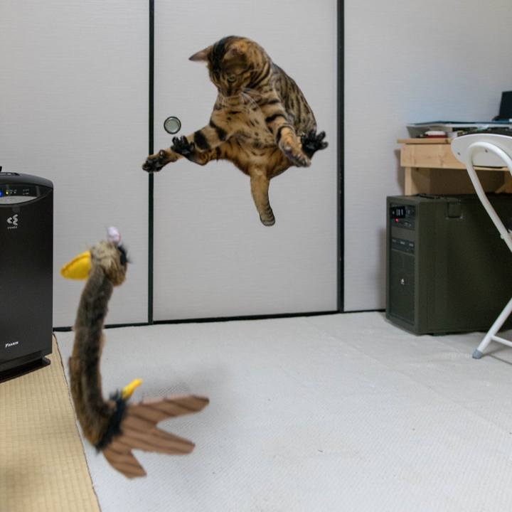 3a55deb7 d21e 4155 a603 281b7829c887 1518101751919