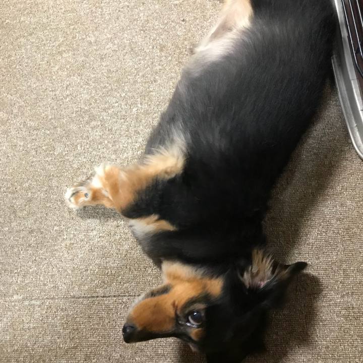 3a56032f 48ca 4434 ac8a 29a0c1f9f36a 1535406986482