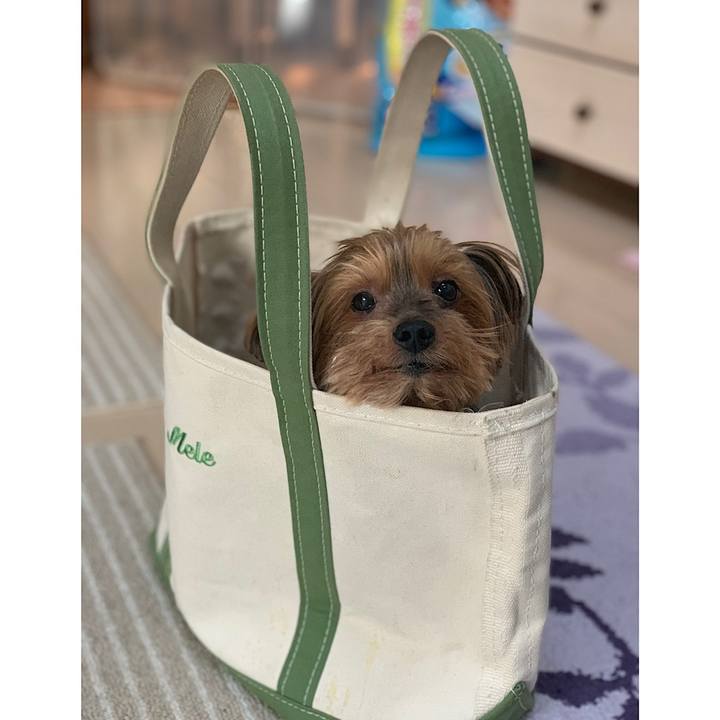 3a561a18 aa36 4a73 8eda 41e5f239c05b 1605913866674