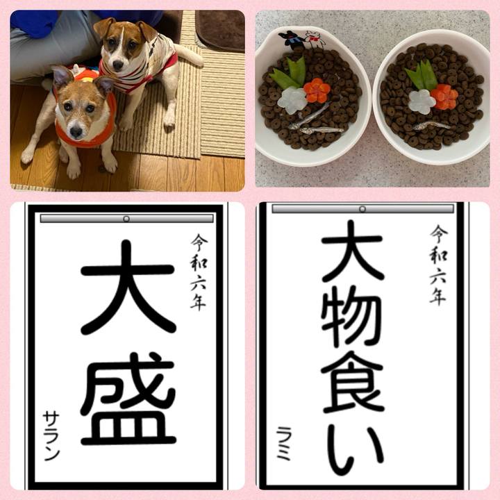 3a563016 eaa8 4663 a218 ffae0e86b22f 1704371538920