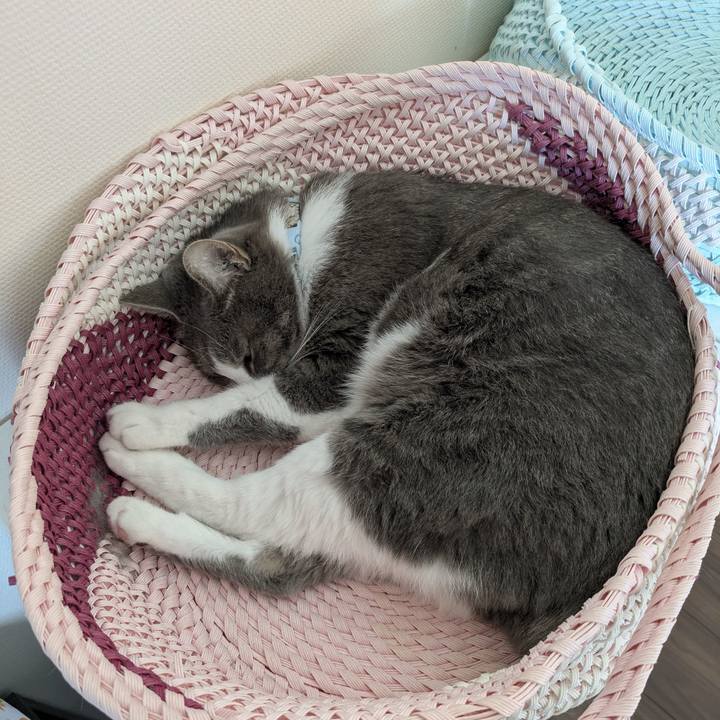 3a566bbd e248 4afe bf0f 045f33a46d11 1755745712080