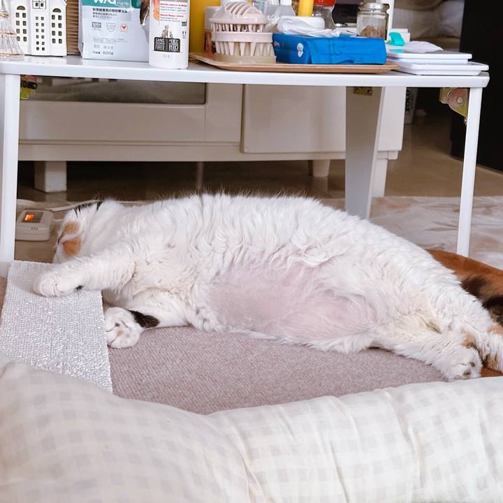 3a5671b3 20db 4efc 9178 8e0f87d5eced 1734392069936