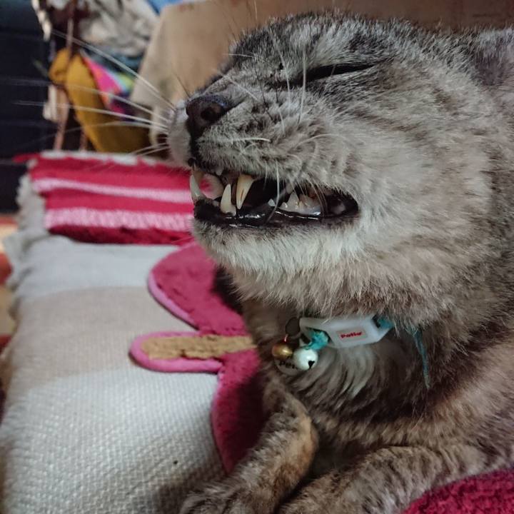 3a56a5f2 40eb 42a0 ba41 3a0c1046e897 1564443859201