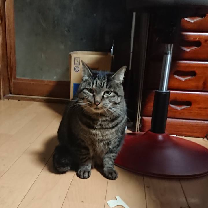 3a56adb9 69db 43fa 91f7 6423ae948979 1636073812033