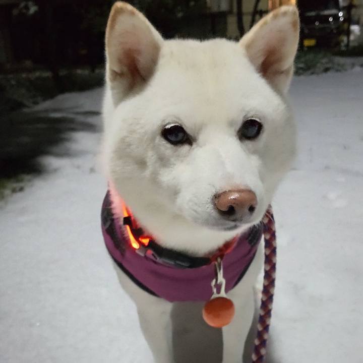 3a56e9c3 8c19 49ab 84d9 73d5a63b1384 1669985576372