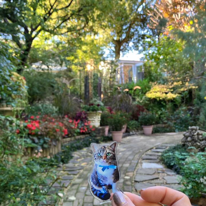 3a56fdc5 3f72 493f b989 b8bfa18f30b6 1762416061900