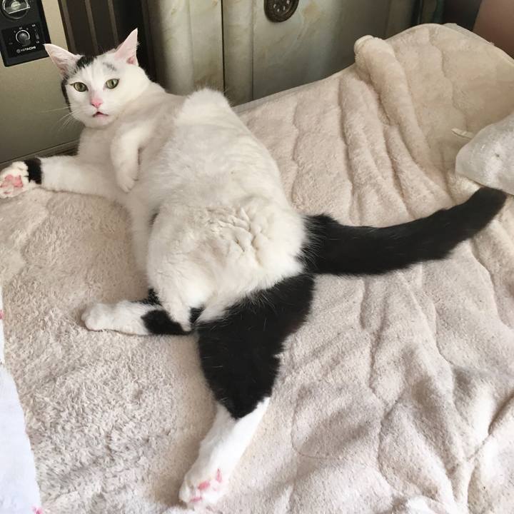 3a571a37 2b90 4c77 b0ab f159da435317 1574841586751