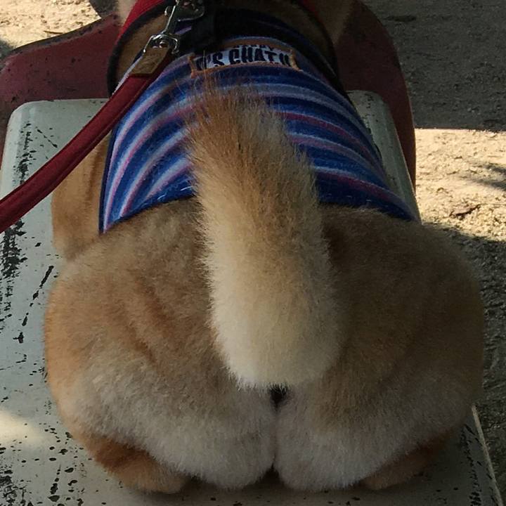 3a572313 aaea 4aea 9bcb fc20407b24c0 1596758178072