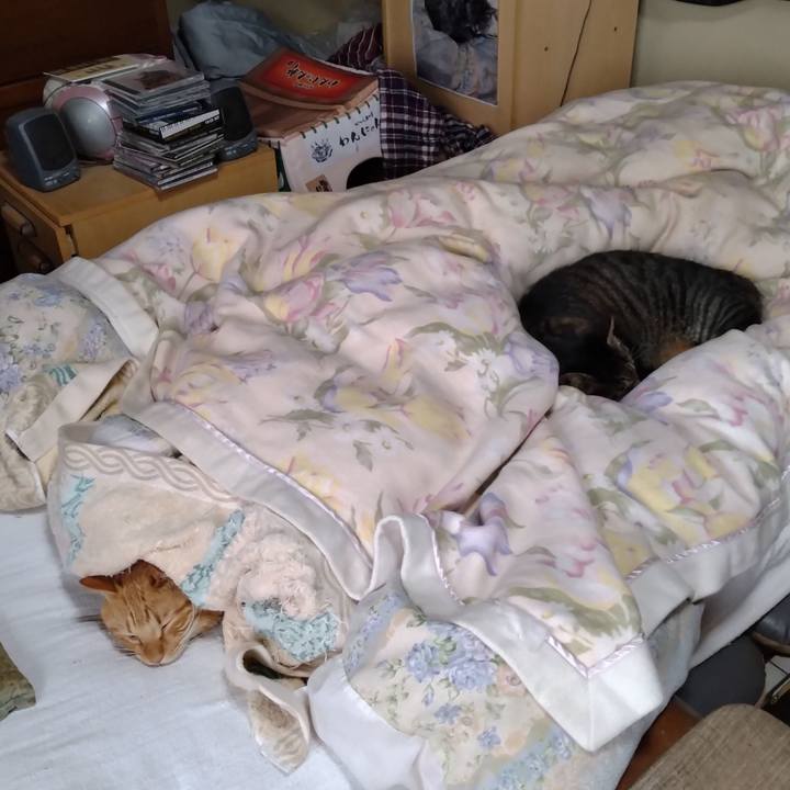 3a5745f4 d6ee 4a7b 80b4 2b286ac86920 1696808803391