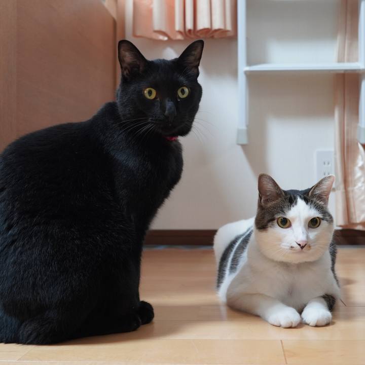 3a578f14 e724 4e57 b0d0 1127d0a91010 1596200039863