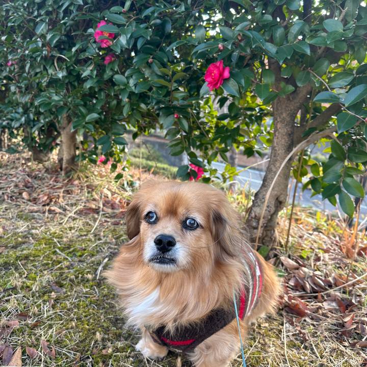 3a579c0b 40e9 4cda b2cd 4633a7f56bb9 1735607856800