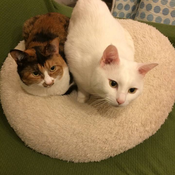 3a57b62a 2913 42d0 be23 55d8a0d25de2 1569589878086