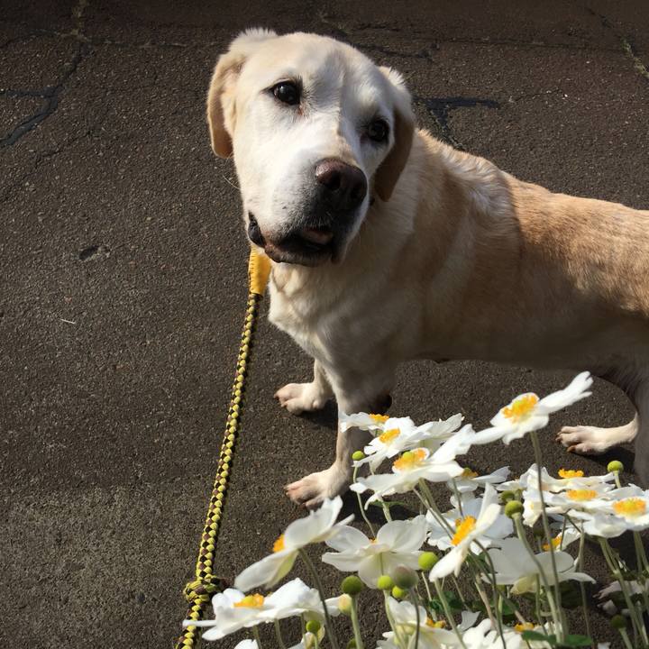 3a57ff21 ca3f 4bd2 aaac 1b8be7a33e92 1560299369353