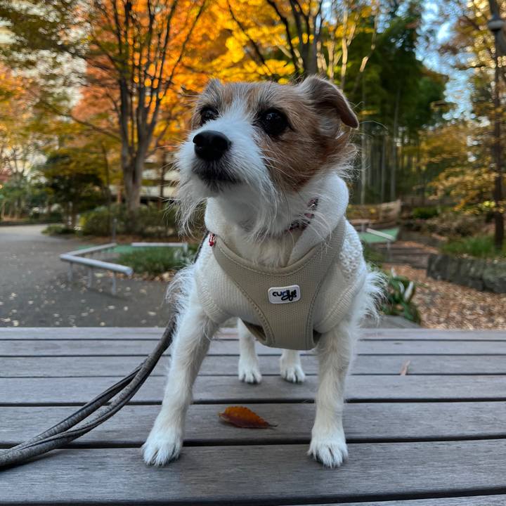 3a582ddf 75d7 4253 82d7 37f18cf25182 1730952091718