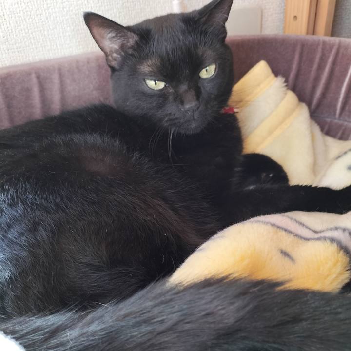 3a584508 c39d 49cb 9cad 70336a54e706 1660862422239