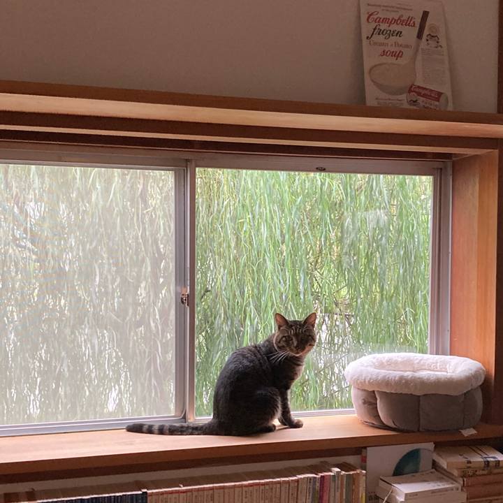 3a5880e7 60b1 4586 b962 c612290a5f00 1665788097387