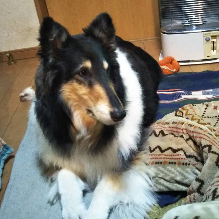 3a5881b2 a36c 4b53 aed6 b72e7363d836 1587822788678