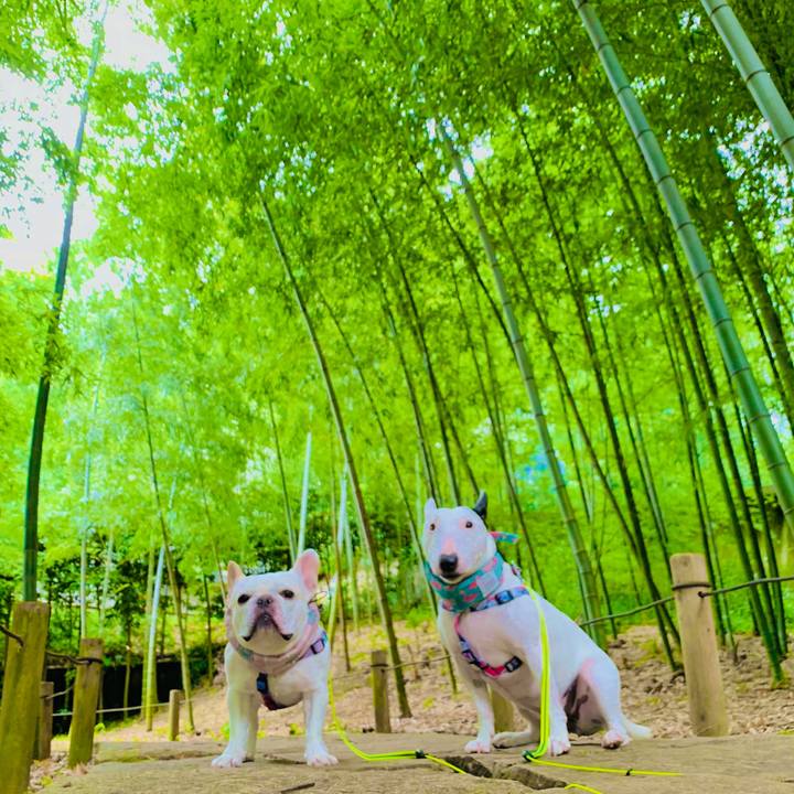 3a58f5d2 0d29 4970 88de a82c80ae2a34 1594268325872